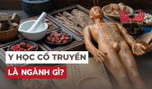 Y học cổ truyền là gì? Điều nên biết