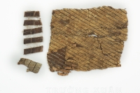 Đỗ trọng thumbnail 1