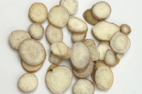 Bạch thược (Radix Paeoniae lactiflorae) thumbnail 1