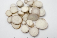 Bạch thược (Radix Paeoniae lactiflorae) thumbnail 2