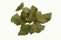 Dâm dương hoắc thumbnail 2