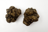Xuyên khung (Rhizoma Ligustici wallichii) thumbnail 1