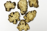 Xuyên khung (Rhizoma Ligustici wallichii)