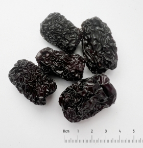 Đại táo (Fructus Ziziphi Jujubae)