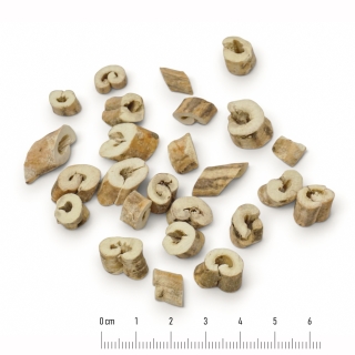 Mẫu đơn bì (Cortex Paeoniae suffruticosae)