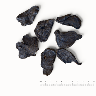 Hà thủ ô đỏ (Radix Fallopiae multiflorae)