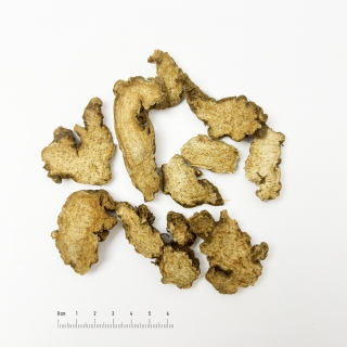 Thương truật (Rhizoma Atractylodis)