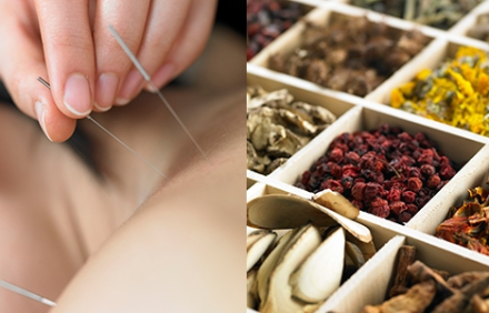 Ứng dụng dược liệu trong chăm sóc sức khỏe