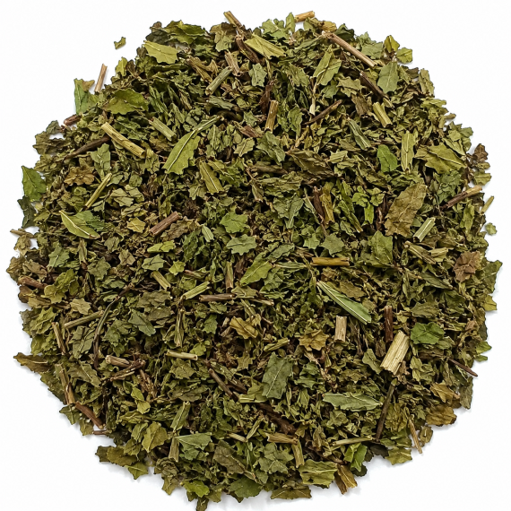 Bạc hà (Herba Menthae )