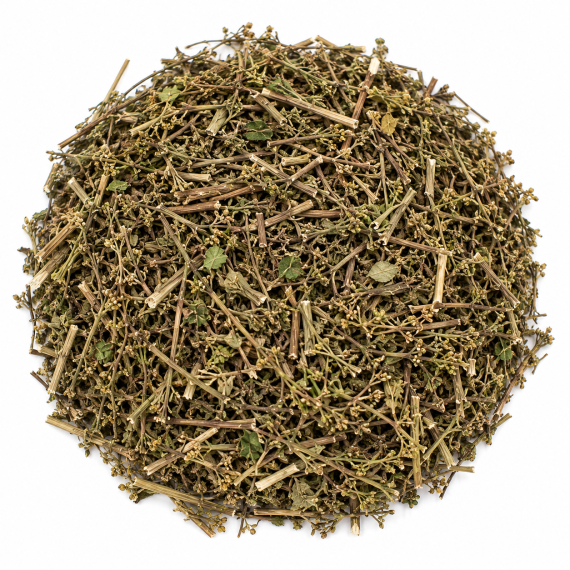 Bạch hoa xà thiệt thảo (Herba Hedyotis diffusae)