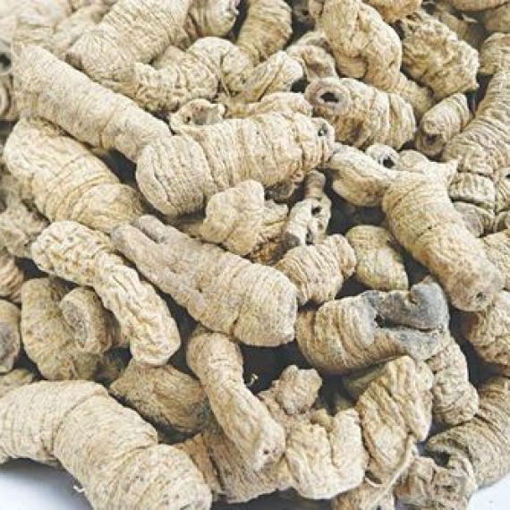 Ba kích (Radix Morindae officinalis)