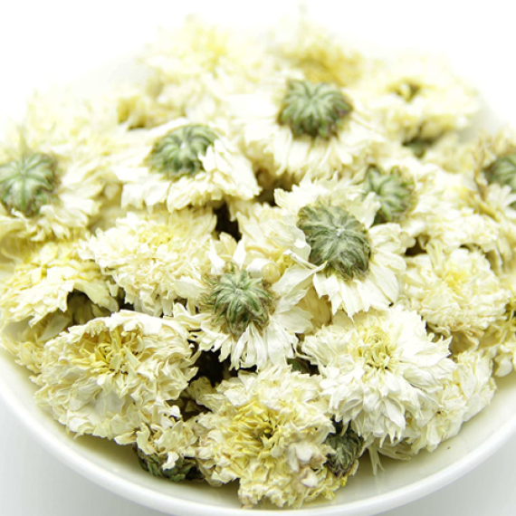 Trà cúc hoa trắng