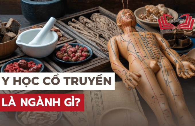 Y học cổ truyền là gì? Điều nên biết